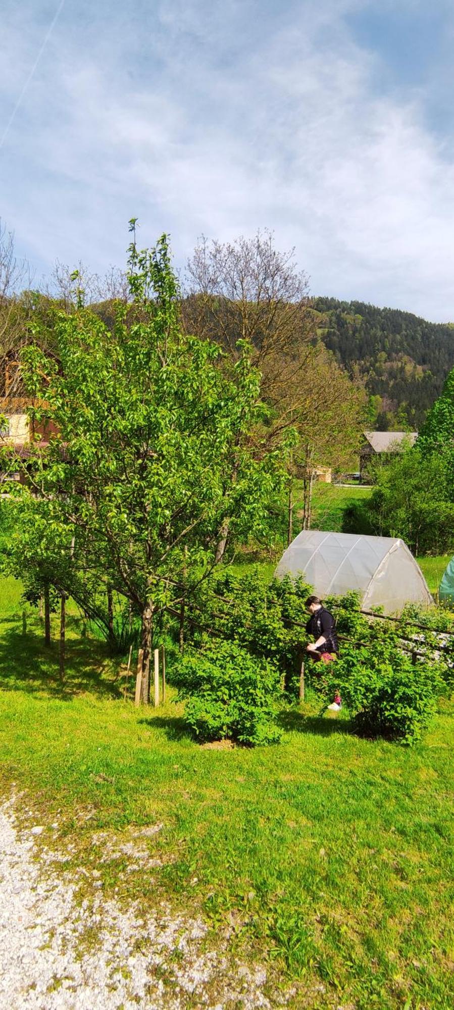Domacija Markc Zelezniki Ngoại thất bức ảnh